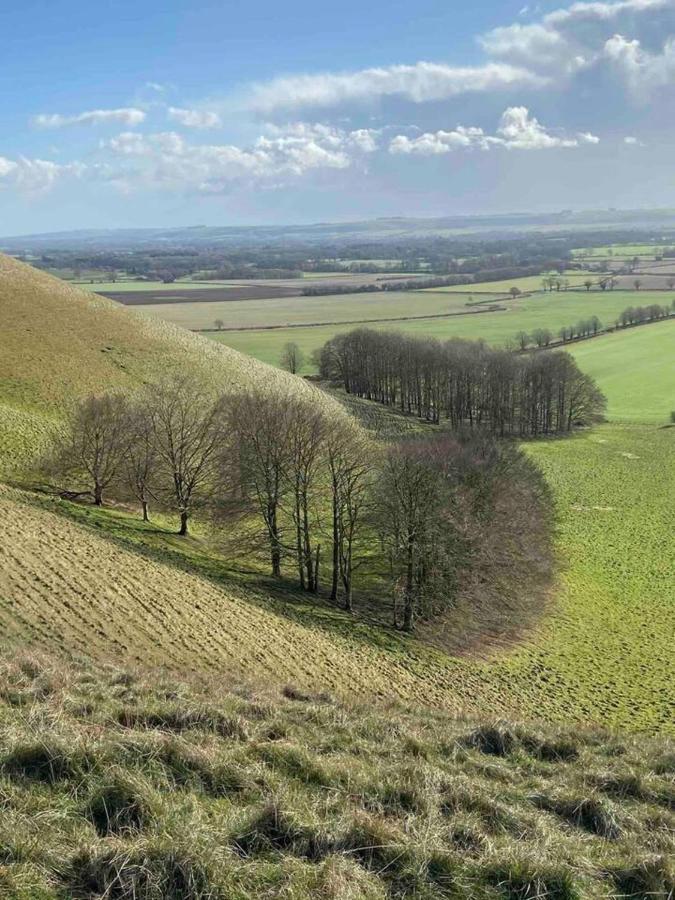 Pewsey Retreat 3 Sleeps -Petfriendly Bbq Parking Apartment Bagian luar foto
