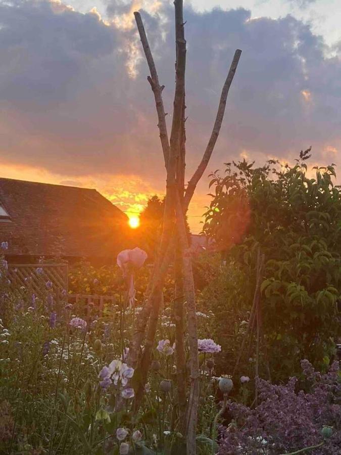 Pewsey Retreat 3 Sleeps -Petfriendly Bbq Parking Apartment Bagian luar foto
